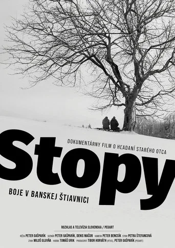 Movie poster for Footprints: Fighting in Banská Štiavnica (2023)