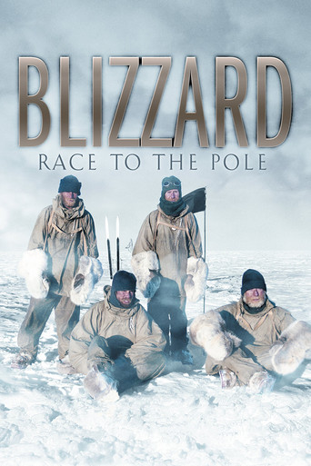 Blizzard: Race to the Pole poster