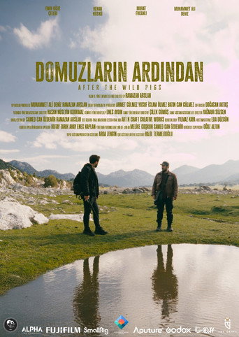 Movie poster for Domuzların Ardından