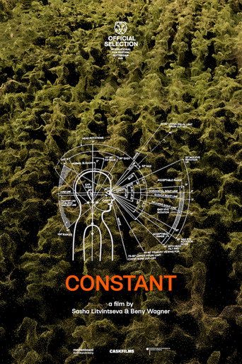 Movie poster for Constant (2022)