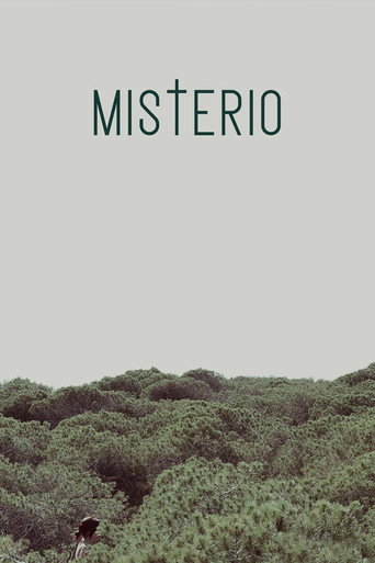 Movie poster for Misterio (2013)