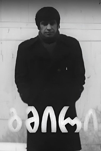 Movie poster for Hero (1979)