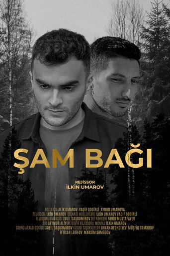 Movie poster for Şam Bağı (2024)