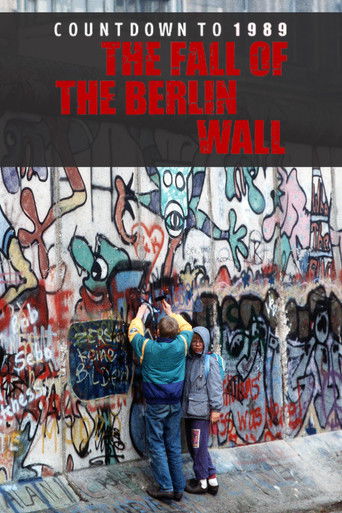 The Berlin Wall: Countdown to 1961/1989 poster