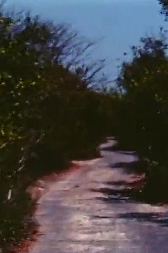 Movie poster for Road to Nowhere (1971)