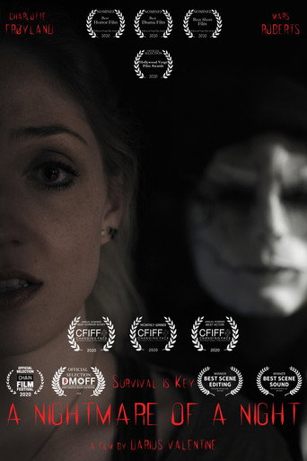 Movie poster for A Nightmare of a Night (2020)