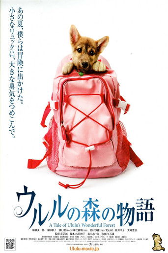 A Tale of Ululu's Wonderful Forest poster