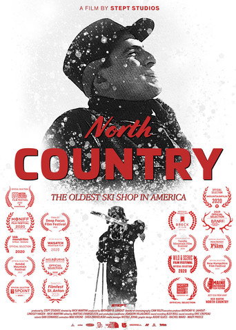 Movie poster for North Country (2021)