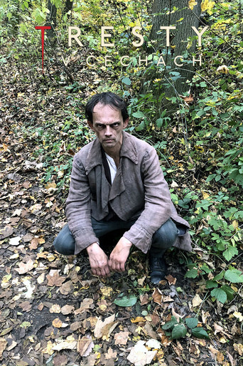 Tresty v Čechách poster