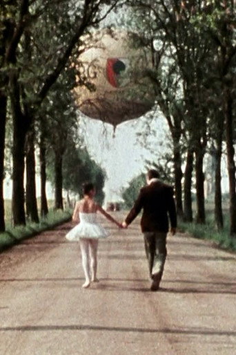 Movie poster for Morgenstimme (1979)