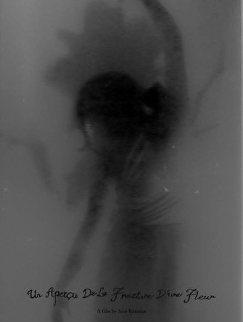 Movie poster for Un Aperçu De La Fracture D’une Fleur (2025)