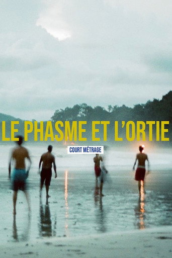 Le phasme et l'ortie poster