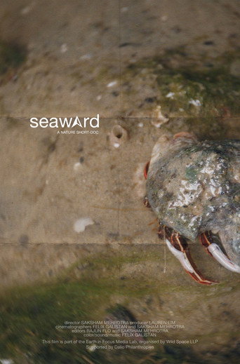 Movie poster for seaward (2025)