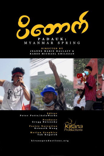 Movie poster for Padauk: Myanmar Spring (2021)
