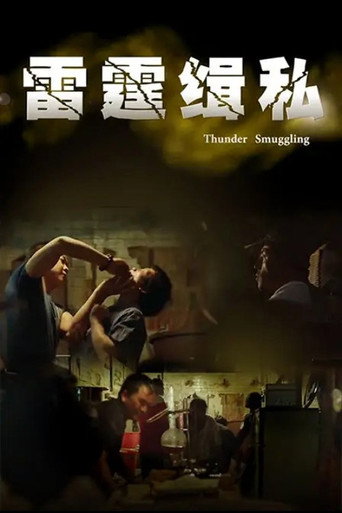 雷霆缉私 poster