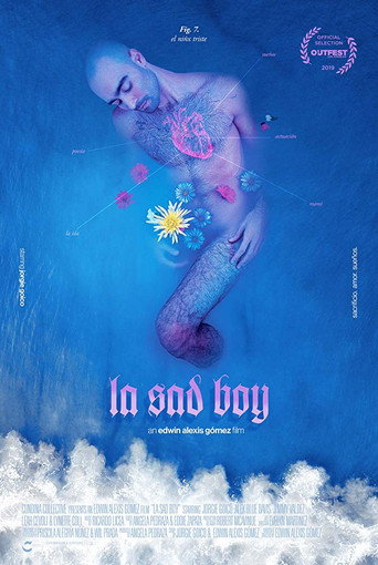Movie poster for La Sad Boy (2018)