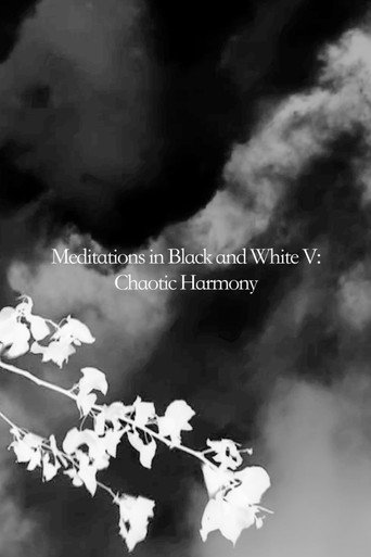 Movie poster for Meditations in Black and White V: Chaotic Harmony