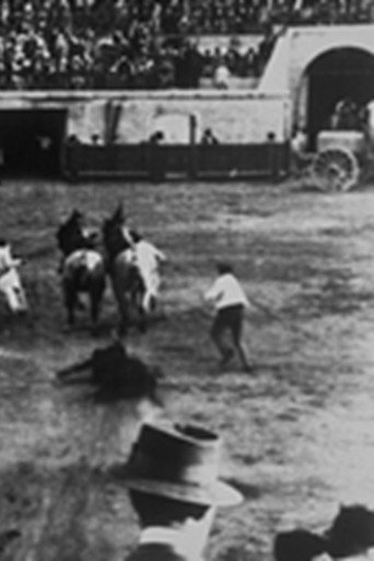 Enlèvement du taureau poster