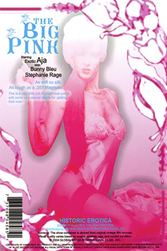 Movie poster for The Big Pink (1989)