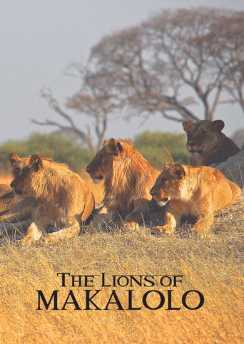 The Lions of Makalolo poster