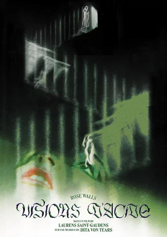 Movie poster for Visions of Acid (2023)