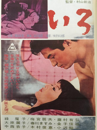 Movie poster for Nighttime Youth Series: Iro (1965)