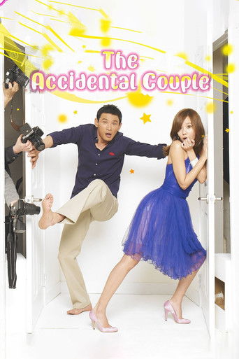 The Accidental Couple poster