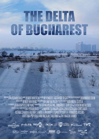 Movie poster for The Delta of Bucharest (2020)