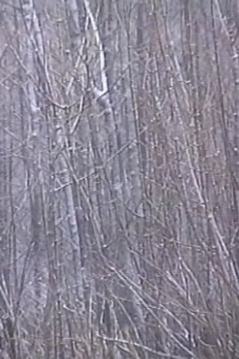 Movie poster for Rosa Rot (2001)