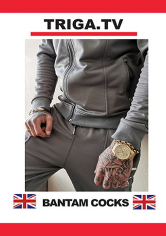 Movie poster for Bantam Cocks (2021)