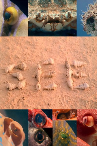 Movie poster for SEE (1975)