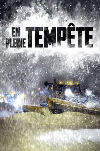En pleine tempête poster
