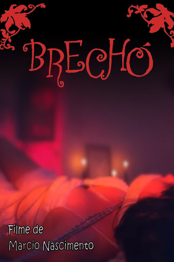 Movie poster for Brechó (2015)