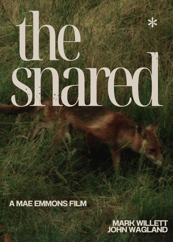 Movie poster for The Snared (2025)