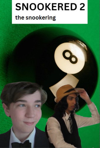Movie poster for Snookered 2