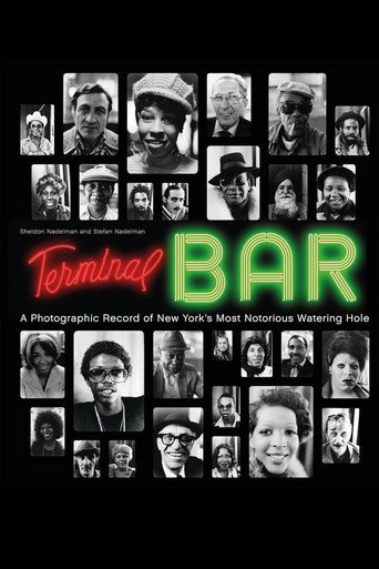 Movie poster for Terminal Bar (2003)