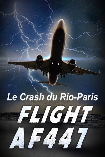 Movie poster for Vol AF 447, Le crash du Rio-Paris (2015)