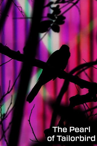 The Pearl of Tailorbird poster