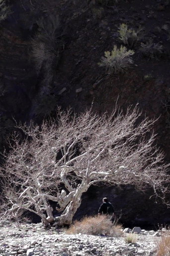 Movie poster for Paradise Springs (2013)