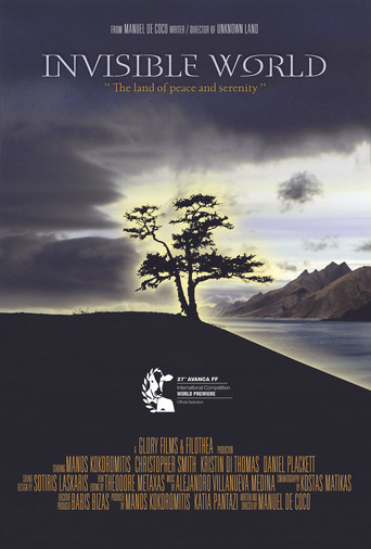 Invisible World poster