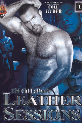 Movie poster for Leather Sessions (2006)
