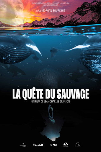 La Quête du sauvage poster