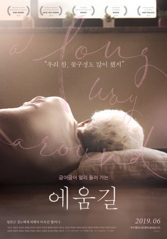Movie poster for A Long Way Around (2019)