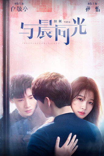 Irreplaceable Love poster