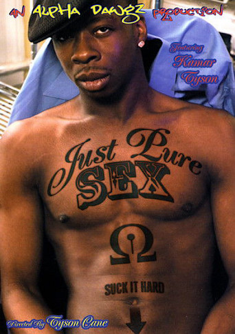 Movie poster for Just Pure Sex (2007)