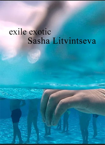 Movie poster for Exile Exotic (2016)