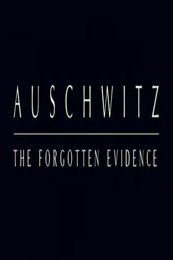 Auschwitz: The Forgotten Evidence poster