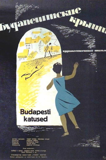 On the Roofs of Budapest poster