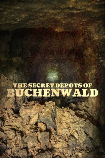 Movie poster for The Secret Depots of Buchenwald (2020)