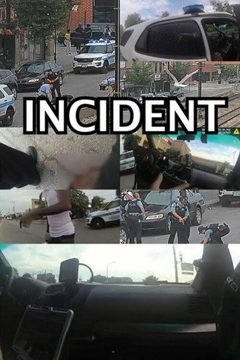 Movie poster for Incident (2023)
